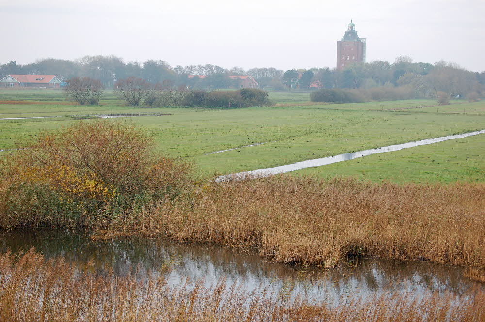 23 leuchtturm neuwerk