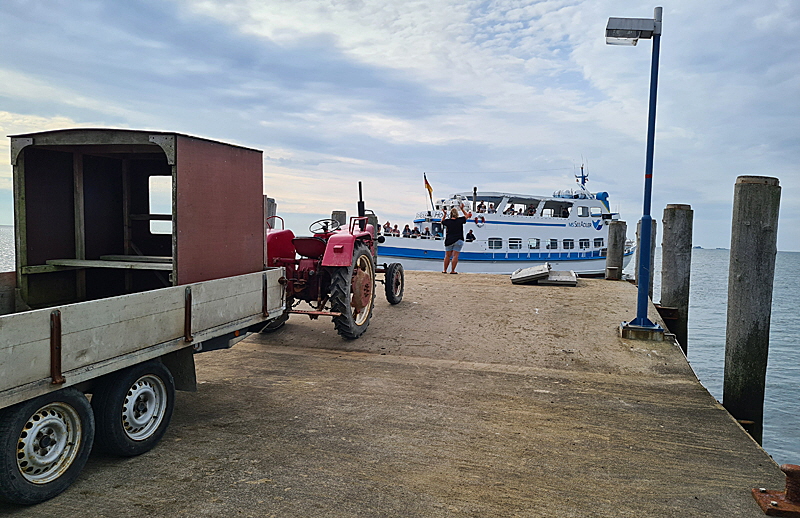 hallig bus groede 02