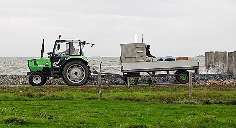 hallig bus groede 03