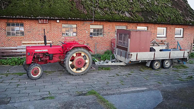 hallig bus groede 04