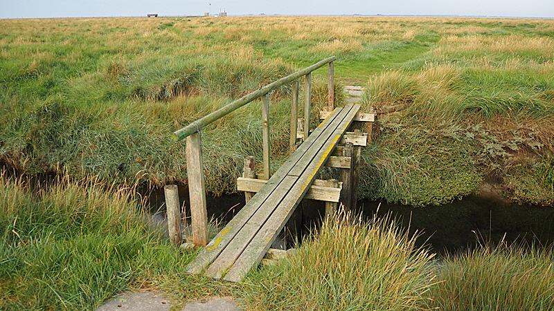 hallig wege 01