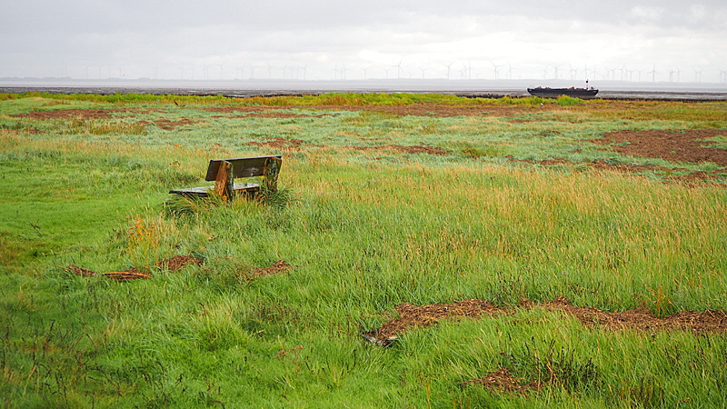 moewen eck groede bild 01a