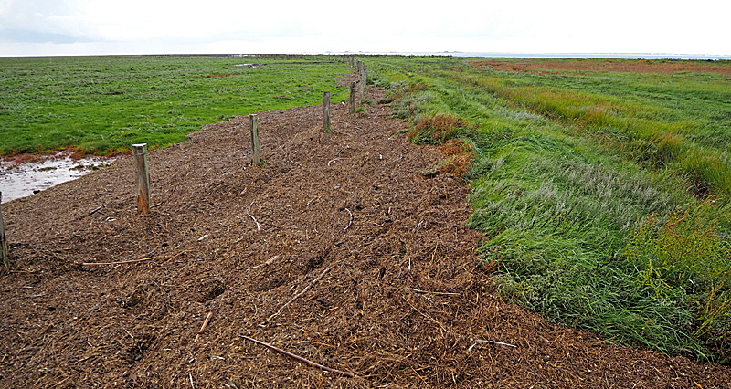 weg moeweneck groede 007