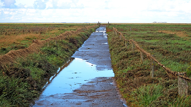 weg zu moeweneck groede 02