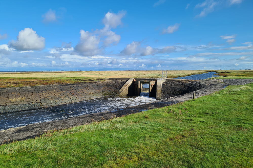 groede grosser graben 005