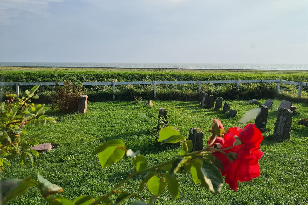 groede hallig kirche 10