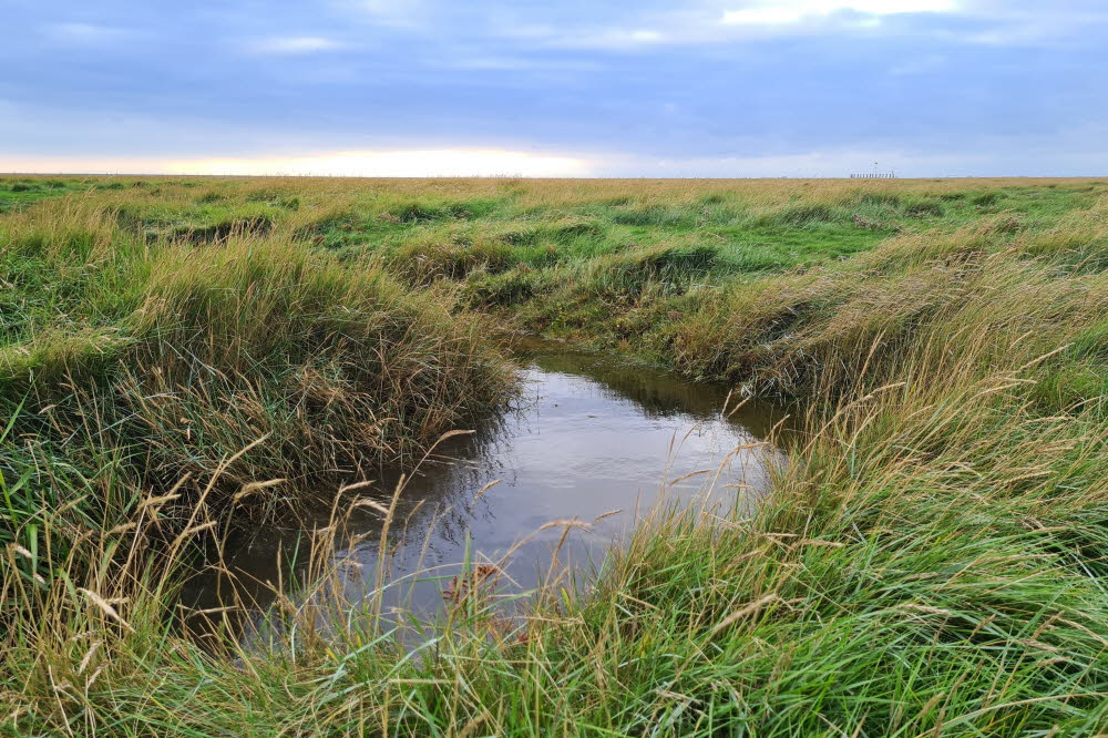 groede landschaft 06