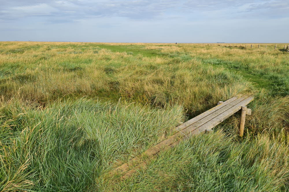 groede weg 005