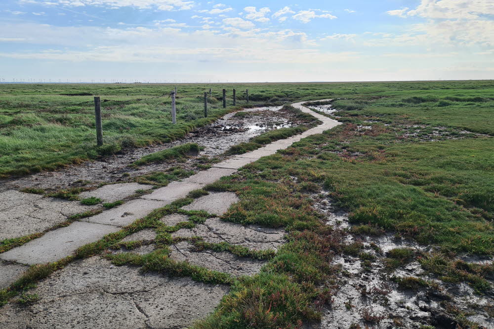 groede weg 010