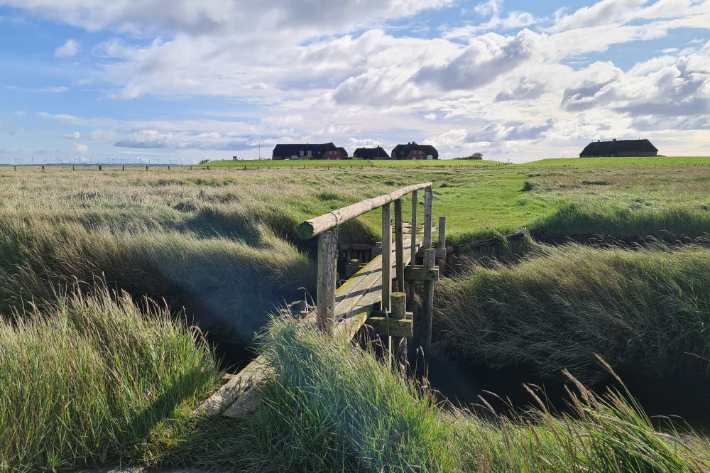 groede weg 015