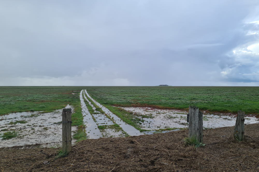 groede weg 018