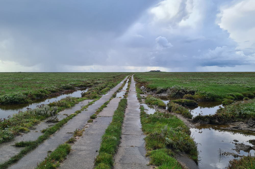 groede weg 019