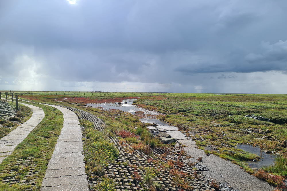 groede weg 020