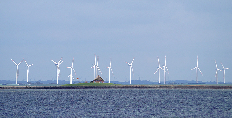 hallig habel 01