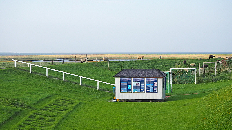 monikas hallig kiosk groede bild 04