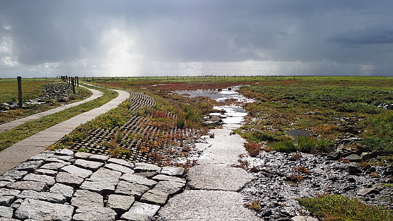 wetterbild groede 01