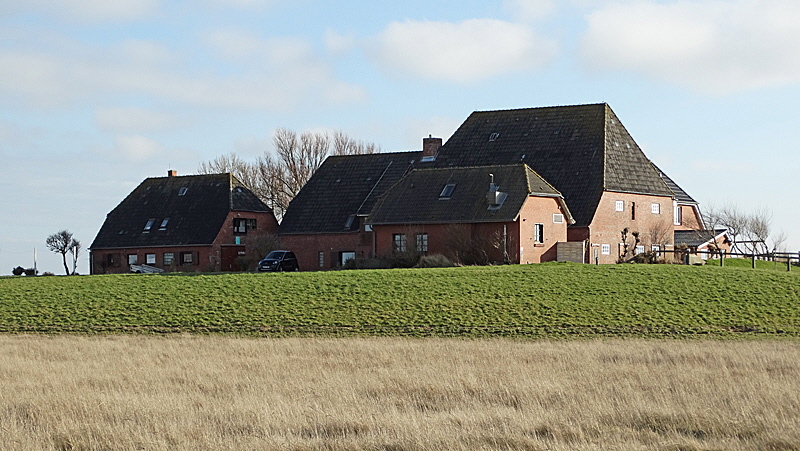 ipkenswarft 02